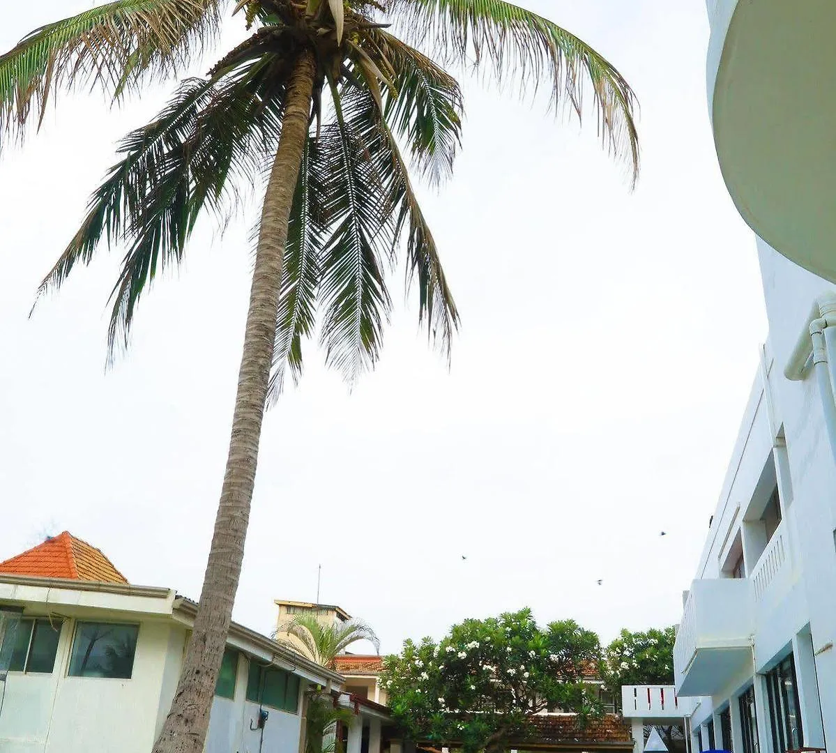 Golden Star Beach Hotel Negombo